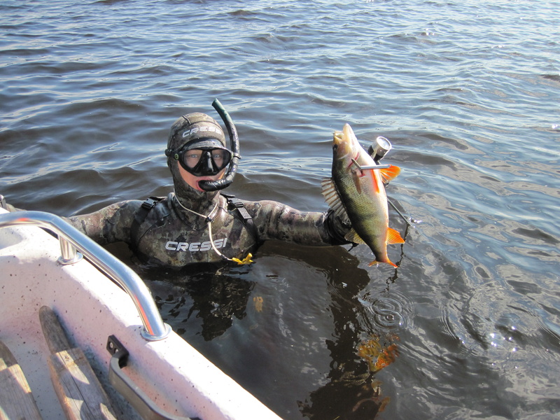 Harrastaminen - Freediving Team of Finland